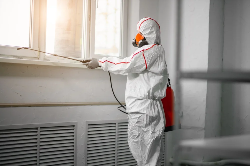 Professional mold remediation services in Brielle, NJ